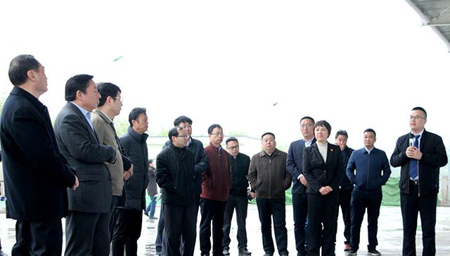 鶴壁市委常委、常務(wù)副市長(zhǎng)等領(lǐng)導(dǎo)來岐伯基地視察并指導(dǎo)工作