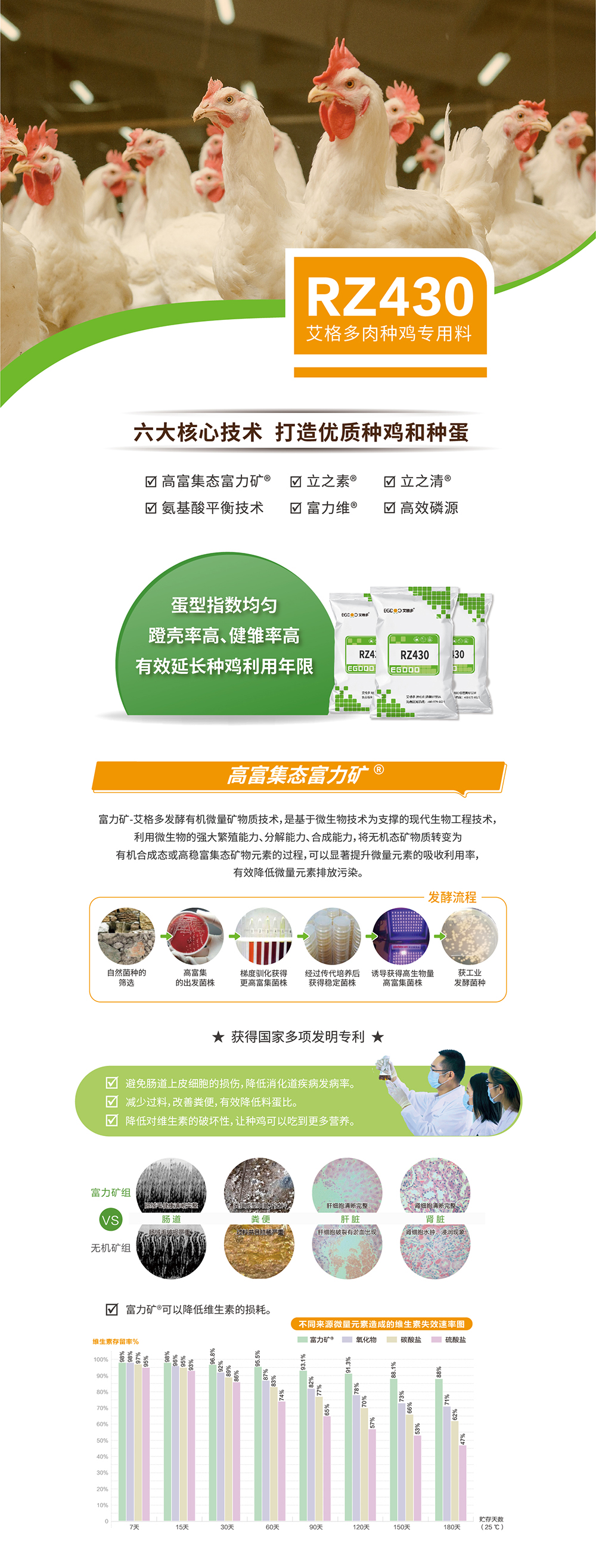 RZ430_產(chǎn)品詳情頁——肉種雞_畫板 1