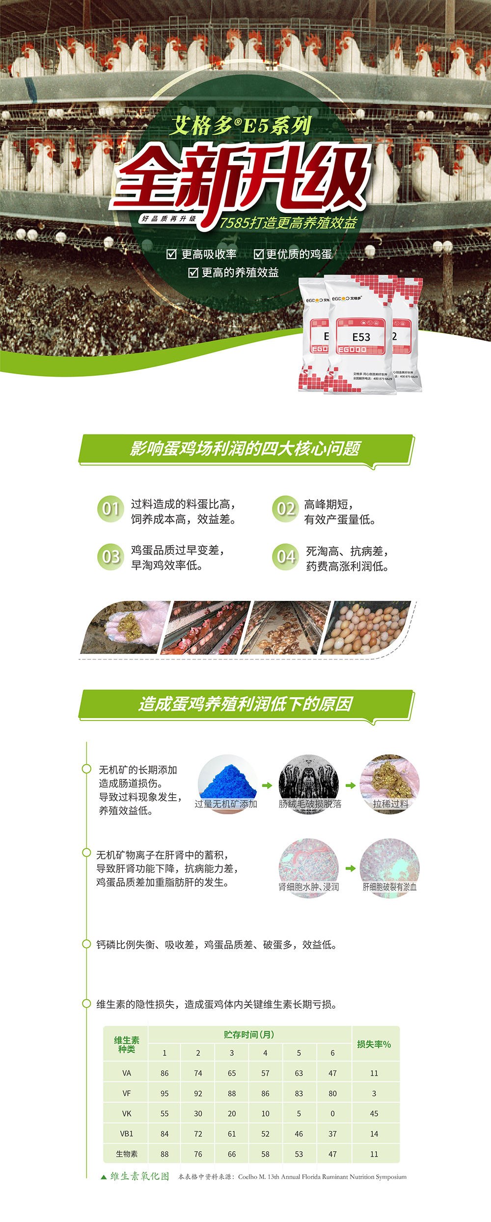 1E5詳情頁(yè)畫(huà)板 1@3x-100